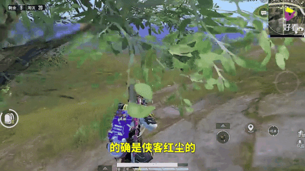 揭秘和平精英知名主播侠客红尘的虚拟家园，探索游戏内外的精彩世界