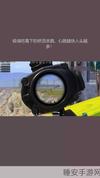绝地求生刺激战场,揭秘桥顶战术,登顶技巧大公开