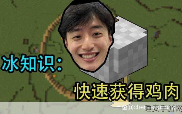 我的世界,鸡肉获取与烹饪全攻略,打造美味生存之道