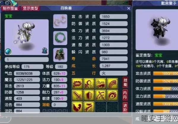 梦幻西游手游,顶尖玩家揭秘,哪些宠物是血宠打造的不二之选?