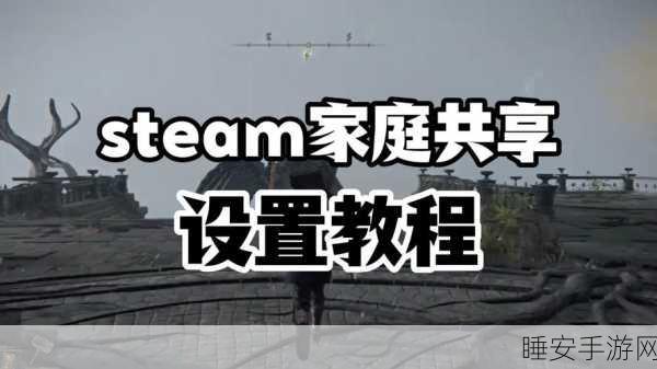 Steam家庭共享权限设置全攻略，轻松管理游戏共享