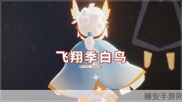 光遇飞翔季小鸟头饰独家获取攻略，解锁飞行新风尚！