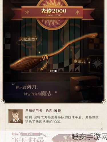 哈利波特手游,揭秘女孩偏爱鹰院的独特魅力