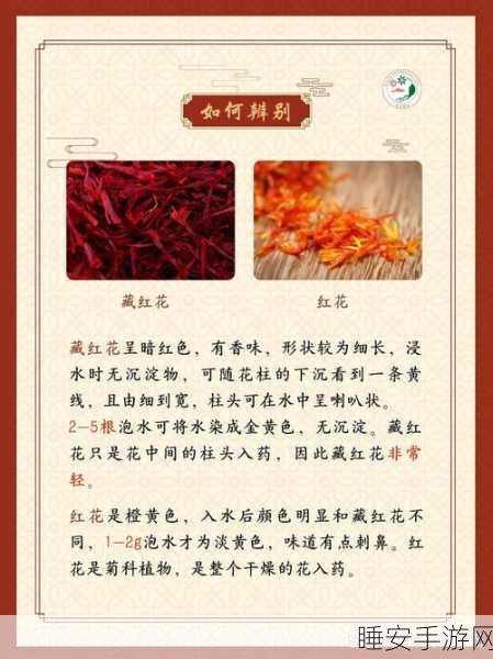 烟雨江湖探秘,藏红花寻觅指南与珍稀药材分布详解