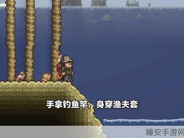 泰拉瑞亚深海探秘,揭秘海中无箱之谜与隐藏宝藏