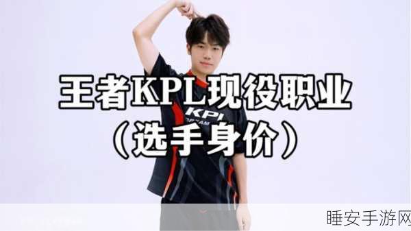 王者荣耀职业选手炼成记，揭秘KPL赛场背后的严苛挑战与荣耀之路