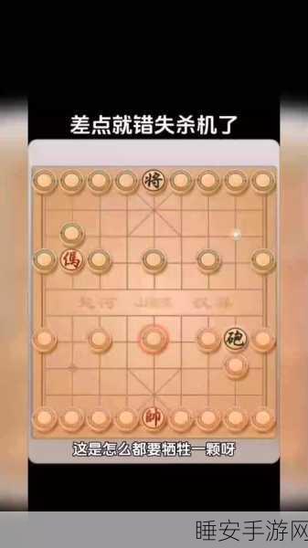 天命奇御2，围棋秘境大师揭秘，探索棋艺巅峰的隐居地对弈实录