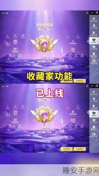和平精英等级查询全攻略,解锁你的游戏成就新高度!