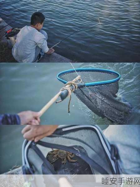 一梦江湖采珠岛深度攻略,精准掌握天气与捕鱼点,助你满载而归!