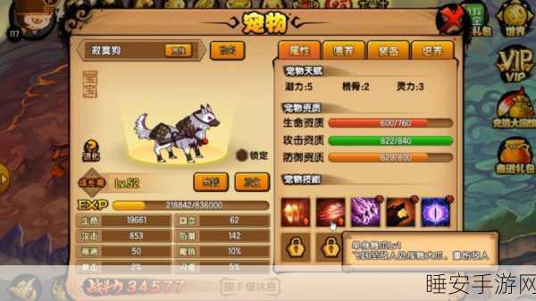 手游造梦西游4宠物获取全攻略，解锁萌宠新伙伴！
