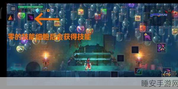 重生细胞,揭秘山洞钥匙的奇妙作用与高效获取攻略