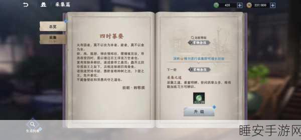 不良人3飞速成长秘籍，解锁快速升级新路径
