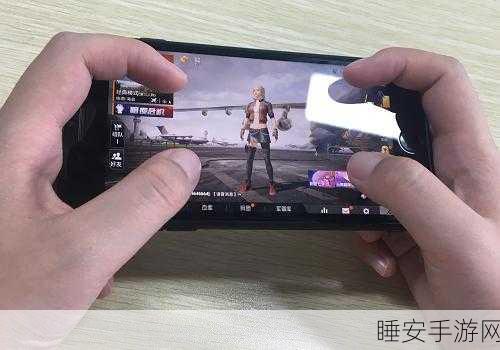 和平精英外挂风波,3元24小时挂机平台背后的影响与警示