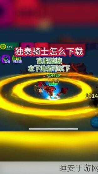 独奏骑士吸收盾玩法深度解析，打造无敌防御的艺术