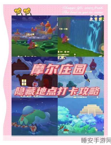 摩尔庄园藏宝之地任务全攻略，解锁神秘宝藏的必备指南