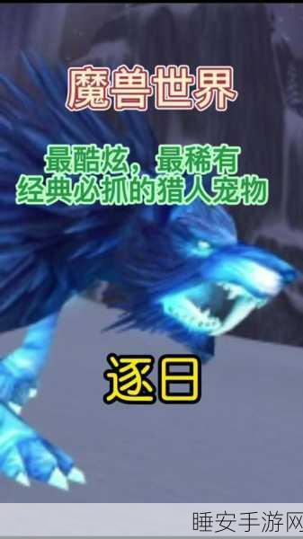 WLK猎人宠物巅峰对决，灵魂兽与狼为何成为猎人玩家的不二之选？