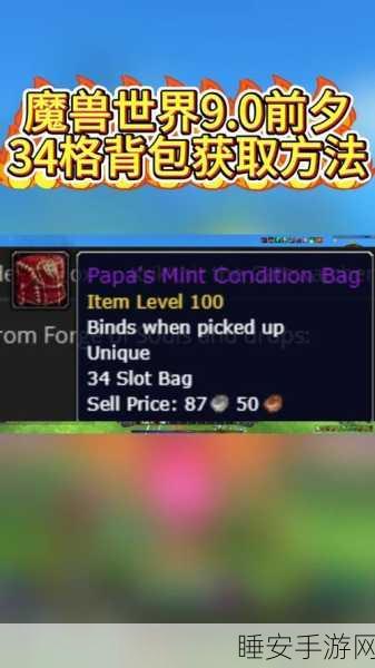 魔兽世界怀旧服,揭秘顾问背包,解锁探险者终极宝库