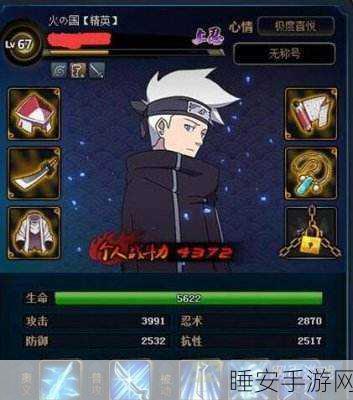 火影忍者手游深度攻略,雷主高效配合战术揭秘