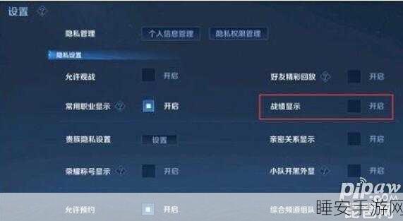 王者荣耀隐私设置揭秘，如何隐藏你的战绩，保护游戏隐私？