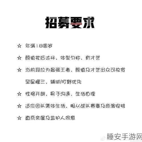 王者荣耀战队精英体系揭秘,荣誉与实力并存的背后设置