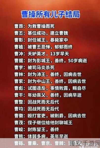三国志后续,揭秘三国志系列中的吴书与吴志之谜