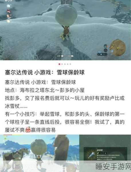 塞尔达传说,智慧的再现探秘——解锁芒果冰沙制作秘籍