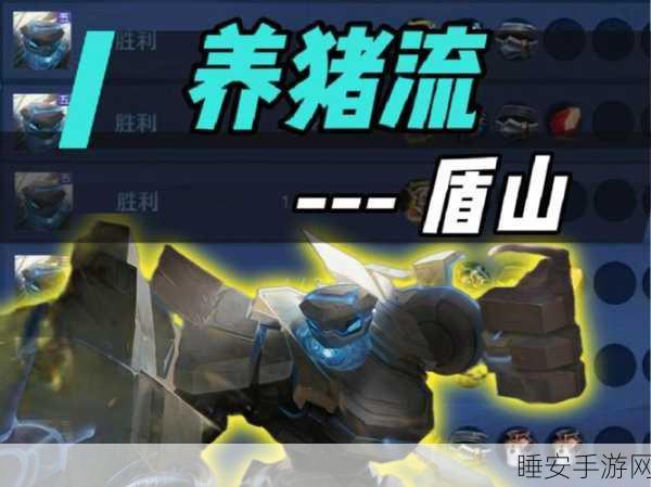 王者荣耀战术揭秘，破解养猪流，精准制胜策略全解析