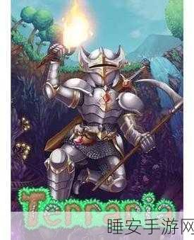 泰拉瑞亚新探险，揭秘血肉稿背后的神秘篇章与赛事盛况