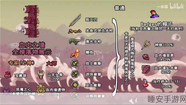 泰拉瑞亚新探险,揭秘血肉稿背后的神秘篇章与赛事盛况