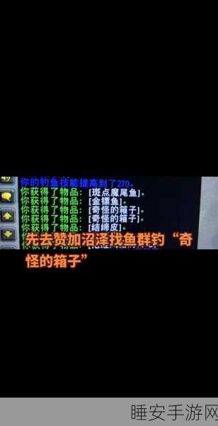 WLK新版本揭秘,坐骑海龟能否在非鱼点垂钓获取?详尽攻略来袭!