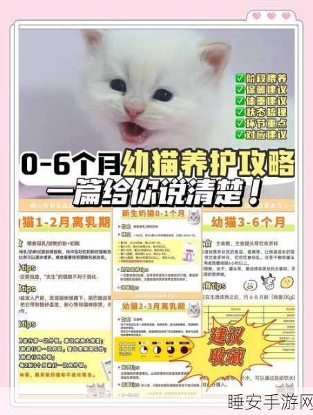 萌宠集结!养了个猫家庭派对趣味猫咪养成手游全解析
