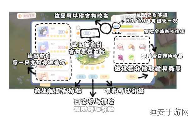 奥比岛宠物养成攻略，揭秘顶级宠物培养秘籍