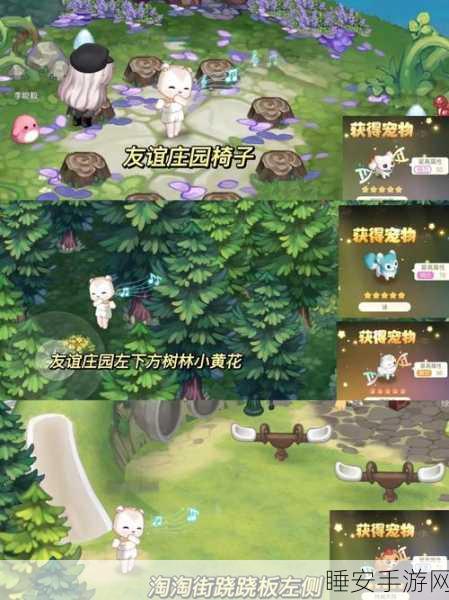 奥比岛宠物养成攻略,揭秘顶级宠物培养秘籍
