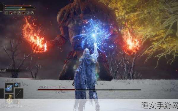 艾尔登法环深度解析,观星者能力值加点终极策略