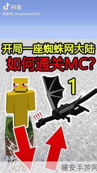 我的世界蜘蛛网获取攻略,探险与技巧大揭秘
