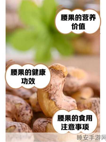 食物语介寿腰果全解析，高品质腰果获取秘籍与实战攻略
