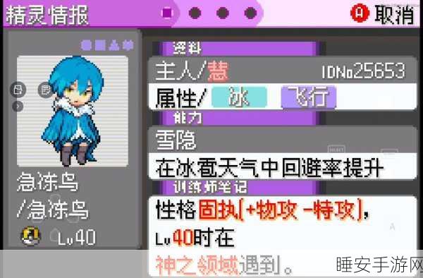 口袋妖怪，提升漆黑魅影华丽大赛吸引力的秘籍