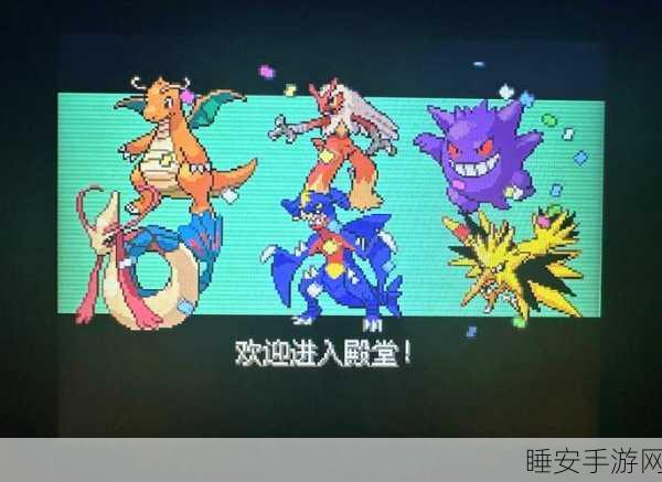 口袋妖怪,提升漆黑魅影华丽大赛吸引力的秘籍
