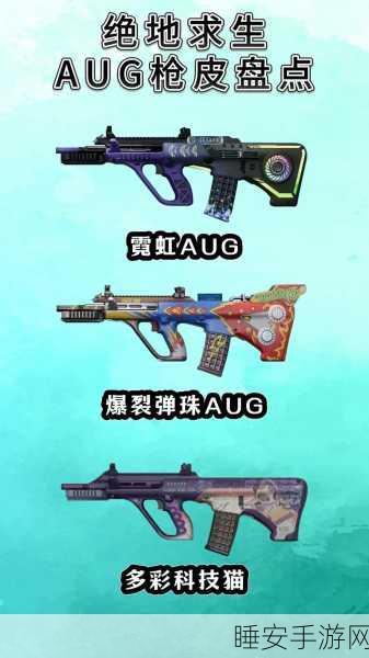 绝地求生Steam市场，精选热门皮肤鉴赏与实战应用