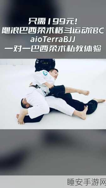 彩虹朋友格斗大师,畅享休闲动作格斗新体验,精彩赛事等你挑战!