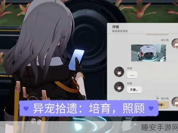 崩坏星穹铁道异宠拾遗,团聚任务全攻略与奇趣细节揭秘
