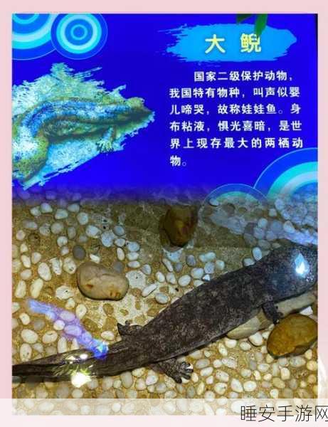 我的世界海底宝藏探寻秘籍,解锁深海奇珍的终极攻略