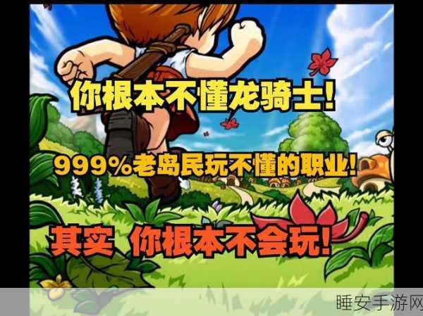 冒险岛终极挑战,100级后解锁新篇章,升级秘籍大揭秘
