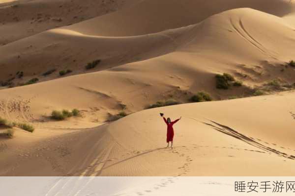 烟雨江湖大漠探秘,揭秘引出神秘沙狐兰的绝妙技巧