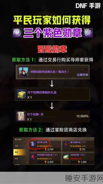 DNF手游深度攻略，揭秘高效勋章获取策略与实战技巧