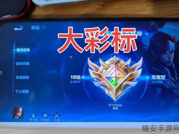 王者荣耀荣耀徽章大揭秘,手机QQ名片上的炫酷图标获取攻略