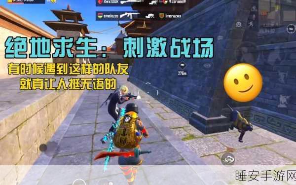 绝地求生终极战场深度解析，生存策略与惊喜赛事全揭秘