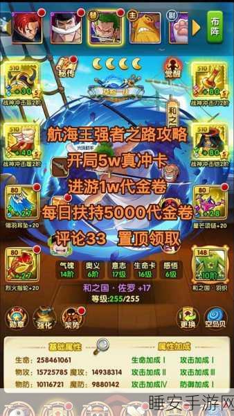 航海王强者之路,称霸海域的体力值管理秘籍与实战攻略