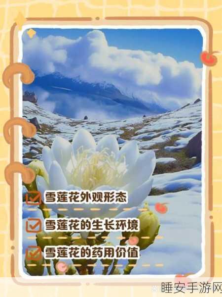 永劫无间火罗国探秘,雪莲的神秘效果与实战应用全解析