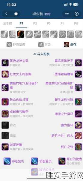 WLK惩戒骑雕文深度解析,打造无敌输出的最佳搭配与实战策略